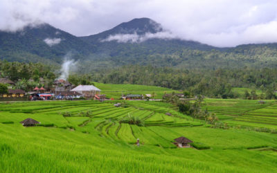Bali Twin Lake Trekking Tour