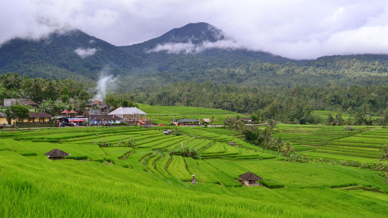 Bali Twin Lake Trekking Tour