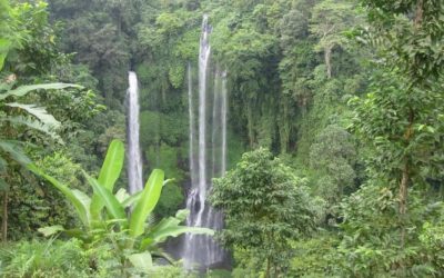 Sekumpul Waterfalls Trekking Tour