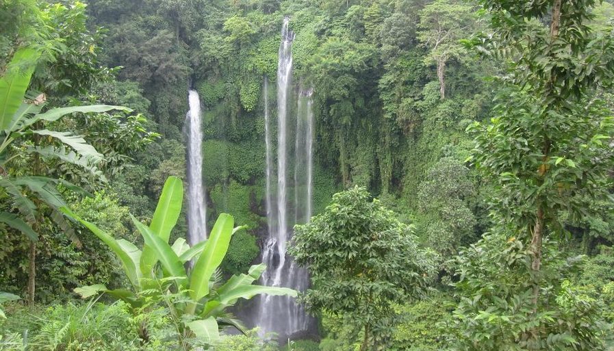 Sekumpul Waterfalls Trekking Tour