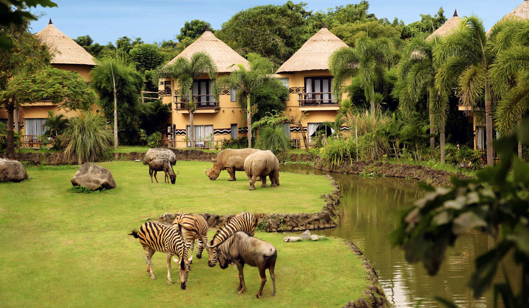Visit Bali Safari and Marine Park