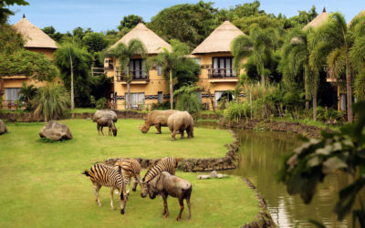 Visit Bali Safari and Marine Park